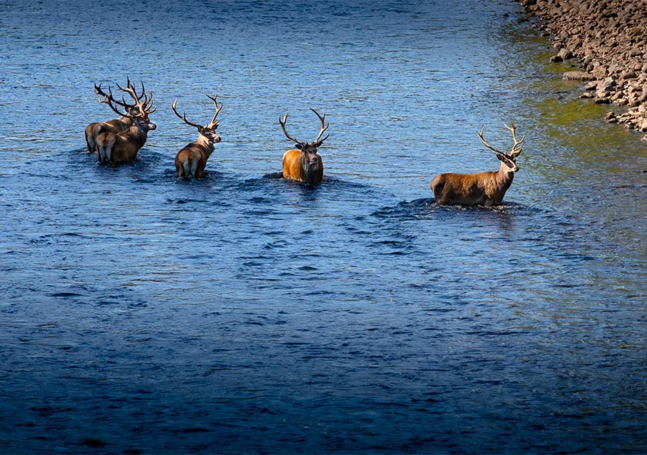 Loch Rannoch Hotel And Spa Kinloch Rannoch Dış mekan fotoğraf